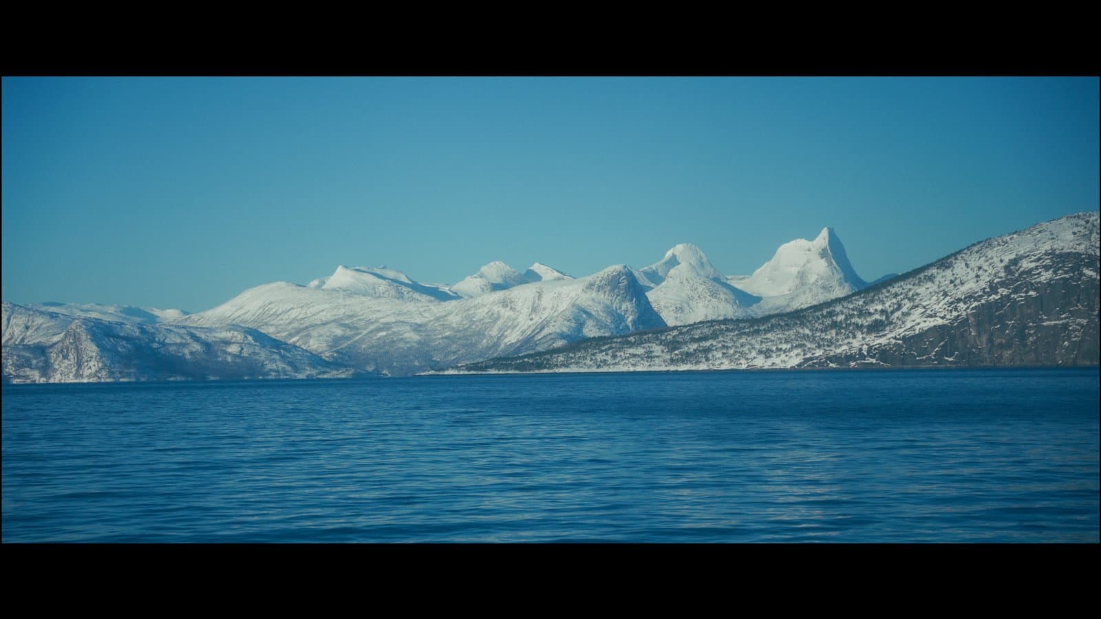 Still from BESTEFAR, frame 5